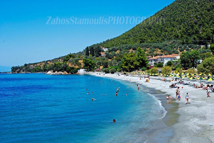 Aris Junior Studio & Apartments Νέο Κλήμα Εξωτερικό φωτογραφία