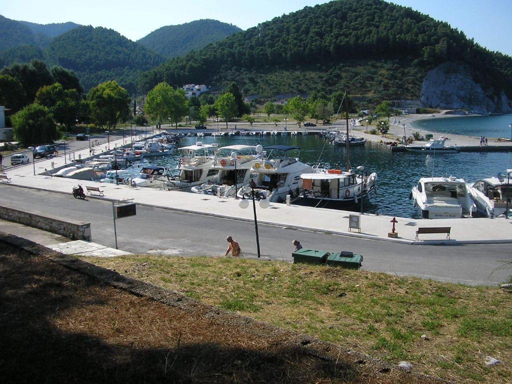 Aris Junior Studio & Apartments Νέο Κλήμα Εξωτερικό φωτογραφία