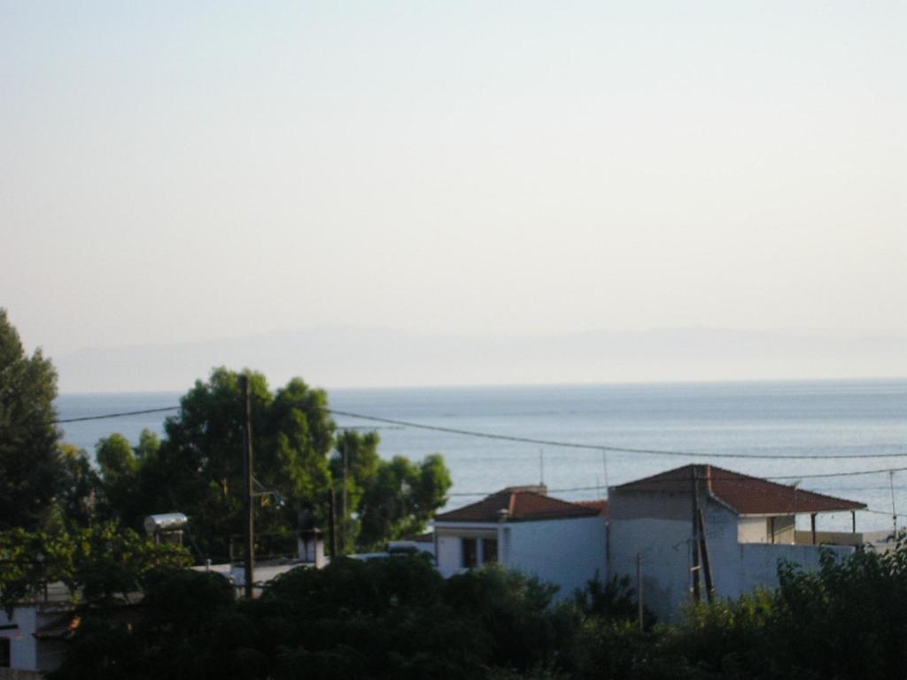 Aris Junior Studio & Apartments Νέο Κλήμα Εξωτερικό φωτογραφία